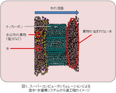 図1. スーパーコンピュータシミュレーションによる造水・水循環システムのろ過工程のイメージ