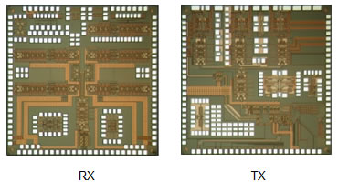 図2 今回開発したミリ波CMOS 受信チップ（RX）、送信チップ（TX）