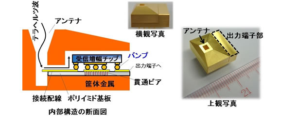 図3 テラヘルツ帯高感度受信機とその断面構造（受信増幅チップ実装部の断面）