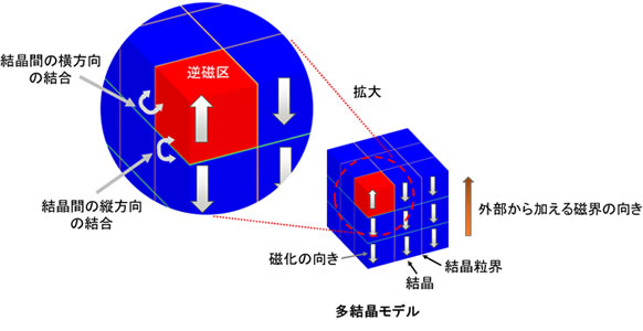 図1. シミュレーションに用いた多結晶モデル