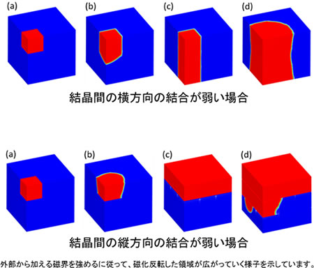 図2. 多結晶モデルの磁化反転のシミュレーション