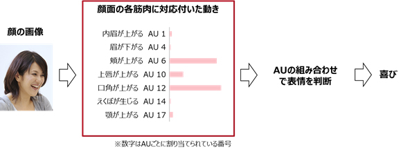 図1. AUと表情の関係原理図