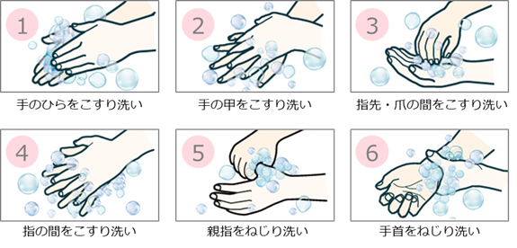図1 正しい手の洗い方6ステップ