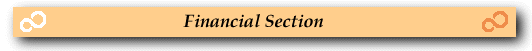 Financial Section