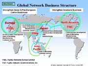 Global Network Business Structure