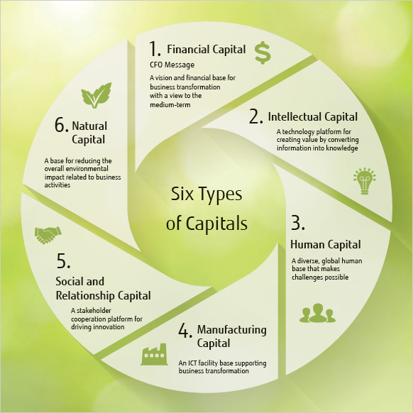 Image:Leveraging the "Six Types of Capital"
