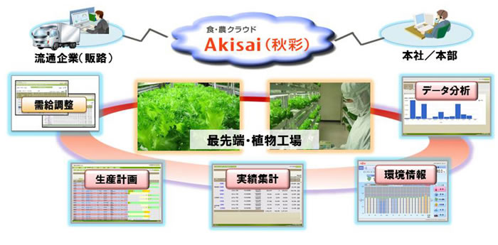 植物工場における「Akisai」の活用イメージ