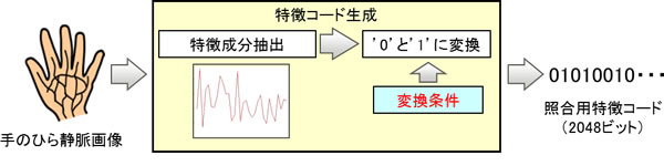 図1 生体情報からの特徴コードの抽出