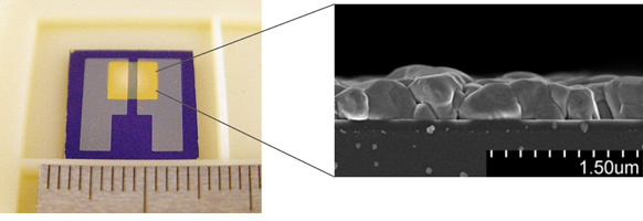 図2. 開発したセンサーデバイスと臭化第一銅膜の電子顕微鏡写真