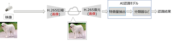 (a) 従来のH.265を用いた画像ベースAI認識のフレームワーク
