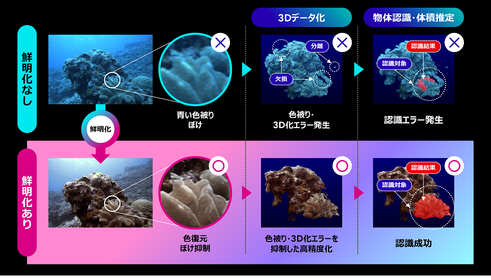 図2 画像鮮明化AI技術によるサンゴ礁の精密な3次元形状データ化