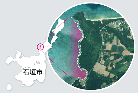 野底地区の位置